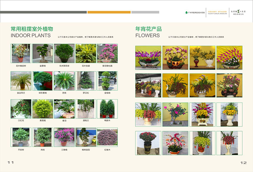 廣州花場(chǎng)苗木畫冊(cè)設(shè)計(jì),花場(chǎng)苗木畫冊(cè)設(shè)計(jì)公司 廣州花場(chǎng)苗木畫冊(cè)設(shè)計(jì),花場(chǎng)苗木畫冊(cè)設(shè)計(jì)公司