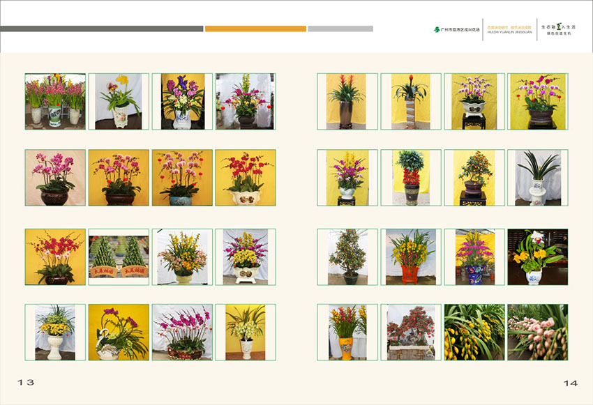 廣州花場(chǎng)苗木畫冊(cè)設(shè)計(jì),花場(chǎng)苗木畫冊(cè)設(shè)計(jì)公司 廣州花場(chǎng)苗木畫冊(cè)設(shè)計(jì),花場(chǎng)苗木畫冊(cè)設(shè)計(jì)公司