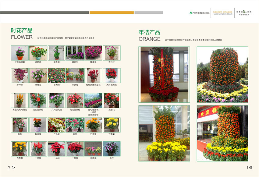 廣州花場(chǎng)苗木畫冊(cè)設(shè)計(jì),花場(chǎng)苗木畫冊(cè)設(shè)計(jì)公司 廣州花場(chǎng)苗木畫冊(cè)設(shè)計(jì),花場(chǎng)苗木畫冊(cè)設(shè)計(jì)公司