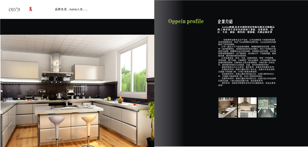 櫥柜產(chǎn)品畫冊(cè)設(shè)計(jì),櫥柜產(chǎn)品畫冊(cè)設(shè)計(jì)公司 櫥柜產(chǎn)品畫冊(cè)設(shè)計(jì),櫥柜產(chǎn)品畫冊(cè)設(shè)計(jì)公司