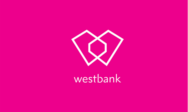 品牌vi設(shè)計案例