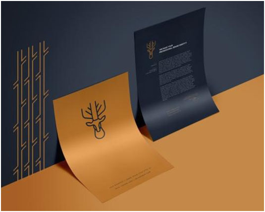 品牌設(shè)計(jì)收費(fèi)大約是多少？品牌設(shè)計(jì)有什么用