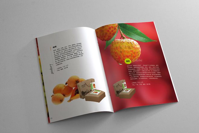 宣傳冊(cè)設(shè)計(jì)一般一頁多少錢？宣傳冊(cè)的特點(diǎn)有哪些？