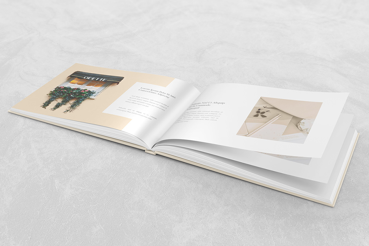 企業(yè)畫冊設計一本需要多少錢？如何制作企業(yè)畫冊？