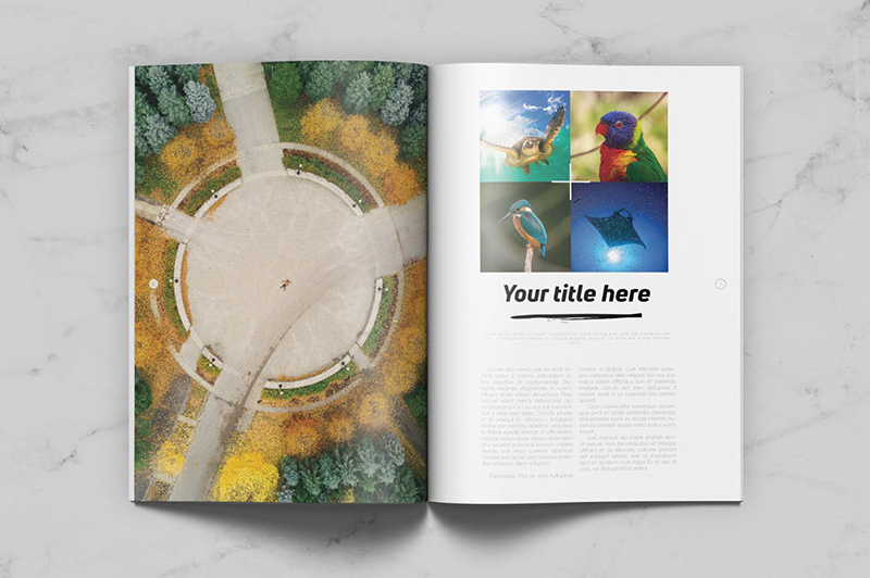 頂級(jí)畫冊(cè)設(shè)計(jì)公司都有哪些排版技巧？