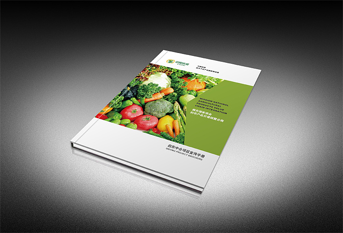 產(chǎn)品宣傳畫冊設(shè)計(jì)哪家好