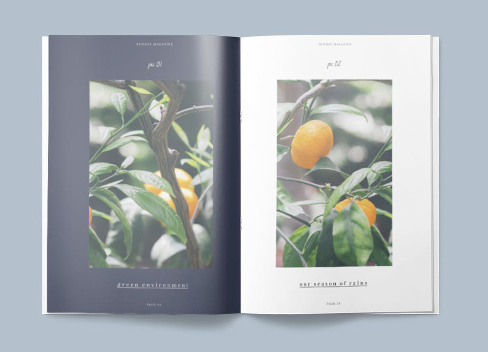 畫(huà)冊(cè)設(shè)計(jì)印刷多少錢(qián)？