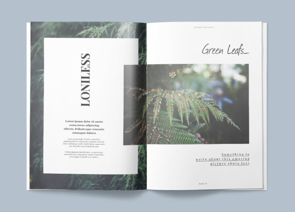 排版一般一頁多少錢？