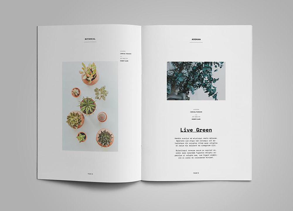 畫冊(cè)設(shè)計(jì) 畫冊(cè)設(shè)計(jì)