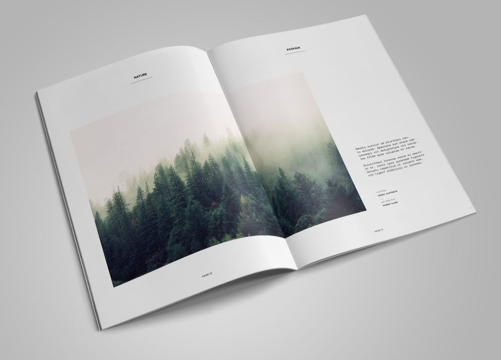 做一個畫冊多少錢？