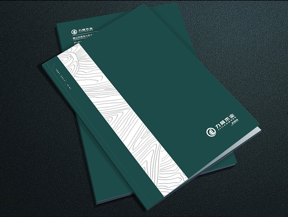 封面封底設(shè)計(jì),封面封底設(shè)計(jì)公司 封面封底設(shè)計(jì),封面封底設(shè)計(jì)公司