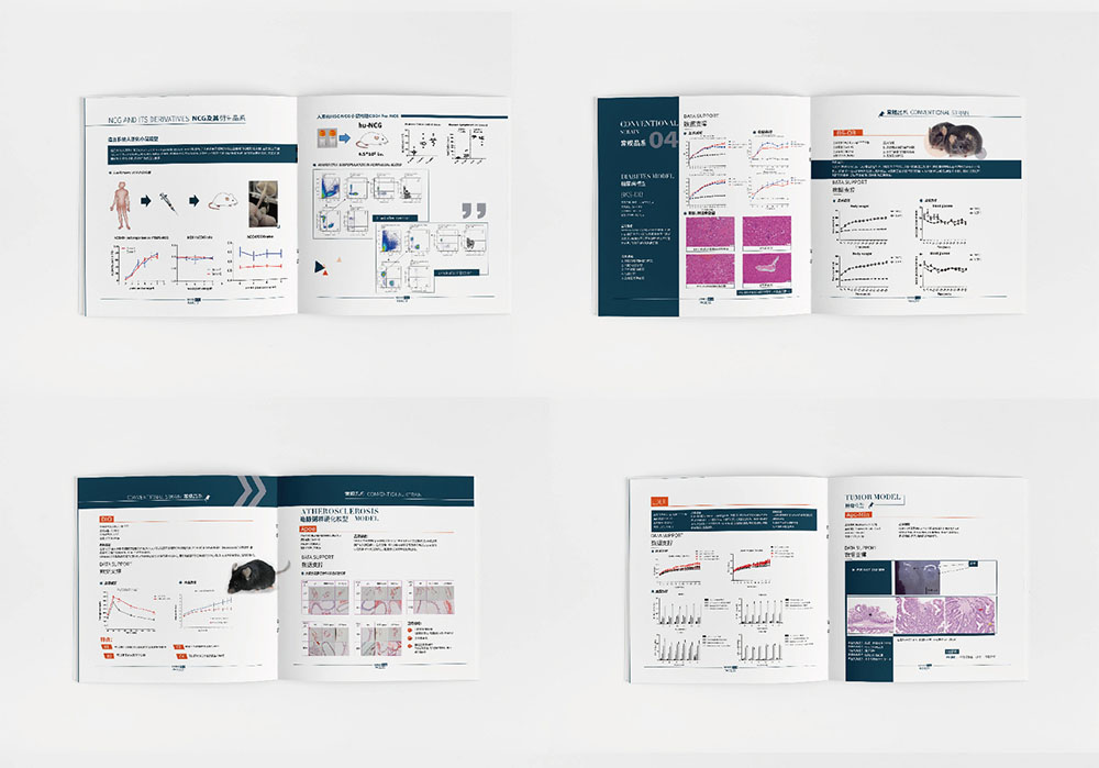 模型企業(yè)畫(huà)冊(cè)設(shè)計(jì),模型企業(yè)畫(huà)冊(cè)設(shè)計(jì)公司
