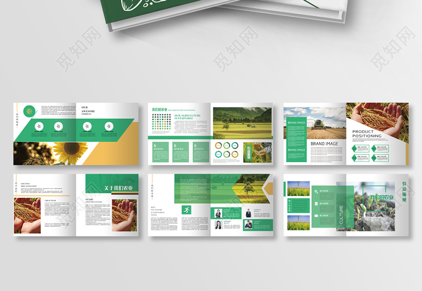 個(gè)性畫(huà)冊(cè)設(shè)計(jì) 個(gè)性畫(huà)冊(cè)設(shè)計(jì)