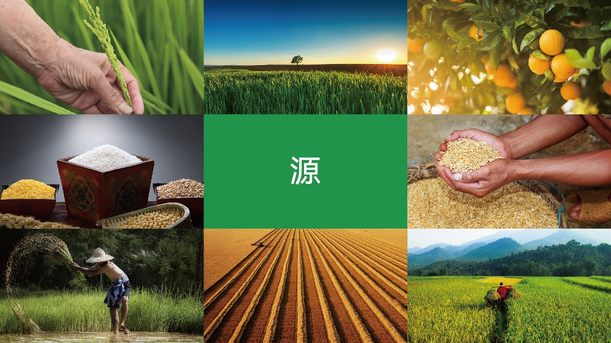 農(nóng)產(chǎn)品品牌設(shè)計(jì)技巧有哪些？怎樣塑造品牌形象