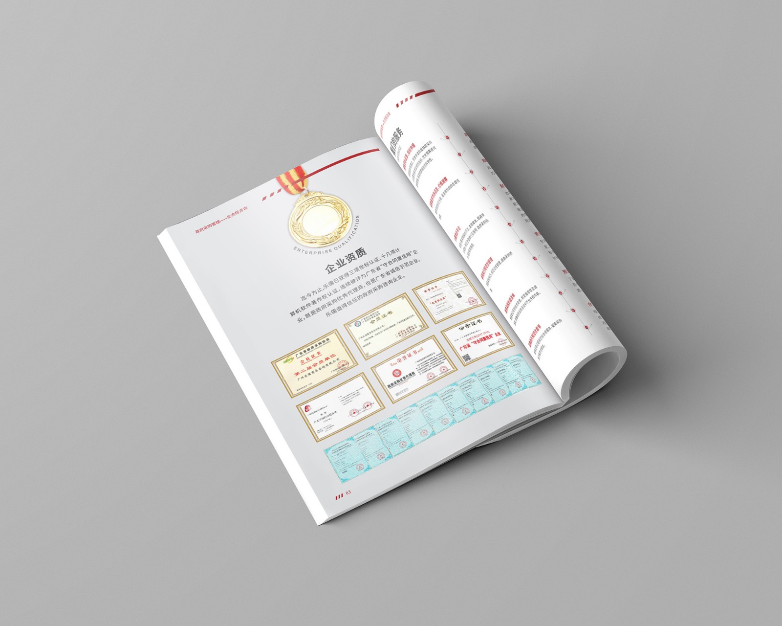 政府采購公司畫冊設(shè)計 政府采購公司畫冊設(shè)計