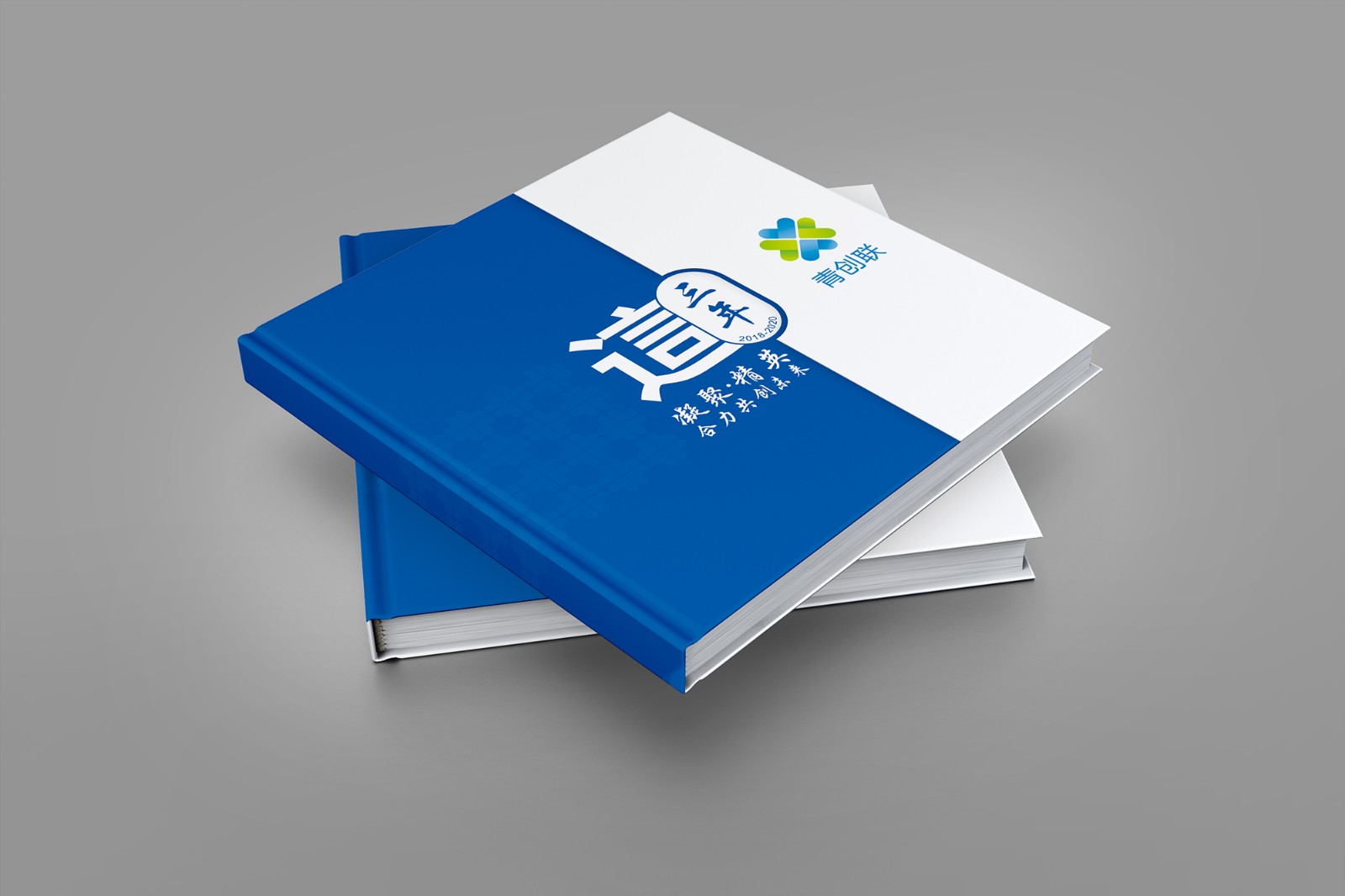 協(xié)會紀(jì)念冊設(shè)計公司-封面效果