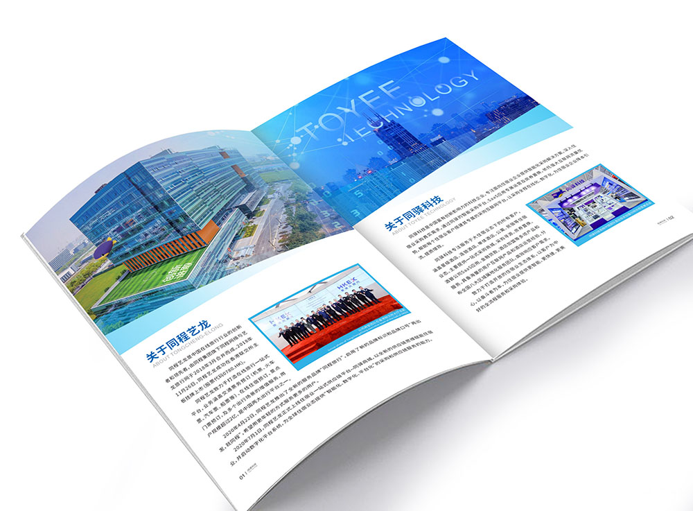 智能化采購平臺(tái)企業(yè)畫冊設(shè)計(jì),智能化采購平臺(tái)企業(yè)畫冊設(shè)計(jì)公司