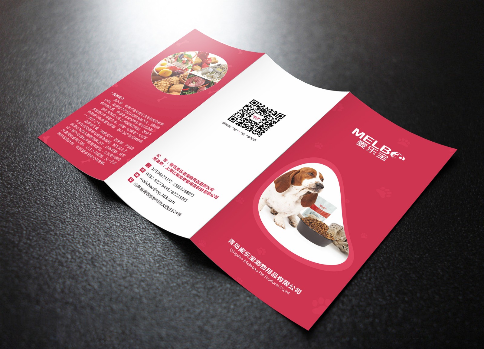 四折頁(yè)設(shè)計(jì) 四折頁(yè)設(shè)計(jì)