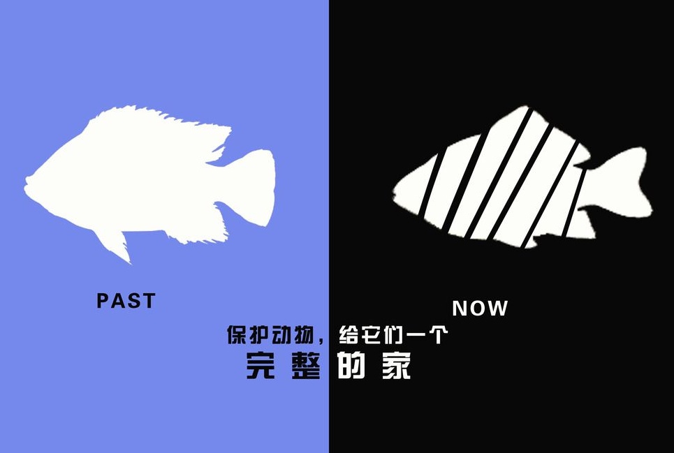 廣告設計制作有哪些要求？有哪些注意事項？