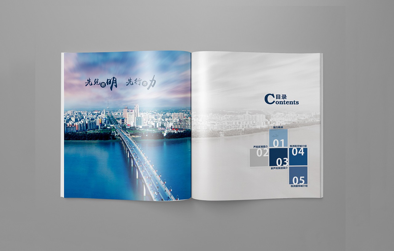 招商引資企業(yè)畫冊(cè)設(shè)計(jì)案例,招商引資企業(yè)畫冊(cè)設(shè)計(jì)案例欣賞 招商引資企業(yè)畫冊(cè)設(shè)計(jì)案例,招商引資企業(yè)畫冊(cè)設(shè)計(jì)案例欣賞