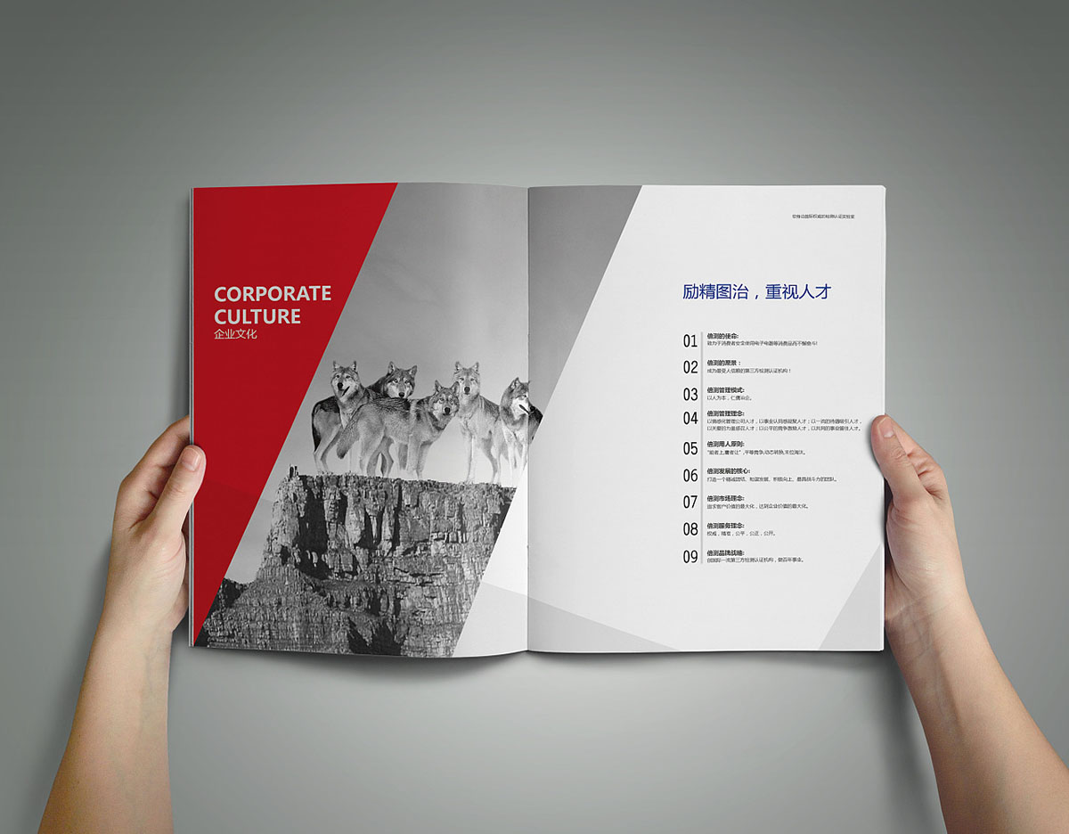 檢測行業(yè)畫冊設(shè)計,檢測行業(yè)畫冊設(shè)計公司 檢測行業(yè)畫冊設(shè)計,檢測行業(yè)畫冊設(shè)計公司