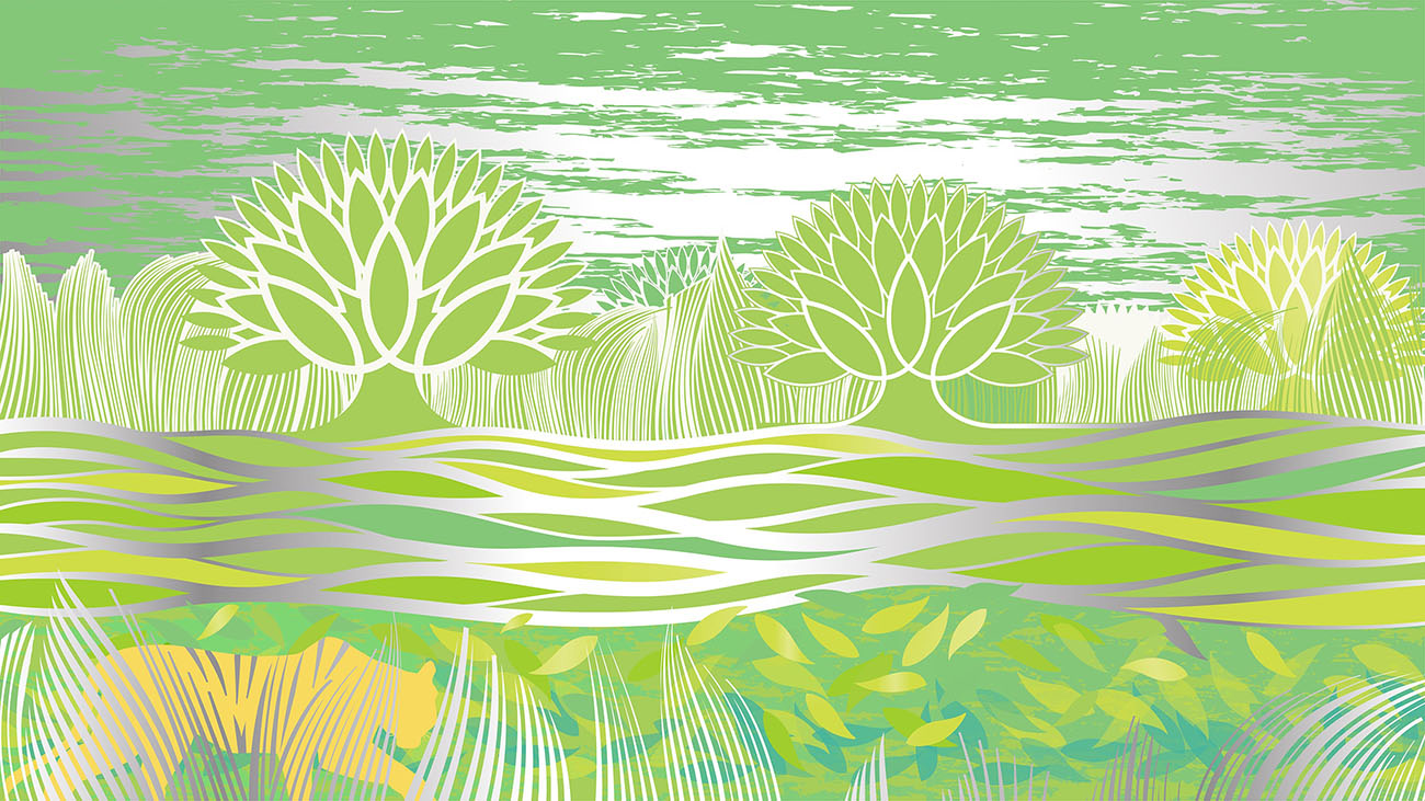 小清新化妝品包裝設計,小清新化妝品包裝設計公司 小清新化妝品包裝設計,小清新化妝品包裝設計公司