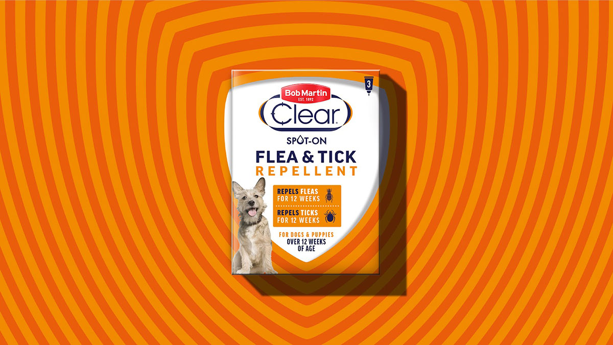 狗糧包裝設(shè)計(jì),狗糧包裝設(shè)計(jì)公司 狗糧包裝設(shè)計(jì),狗糧包裝設(shè)計(jì)公司