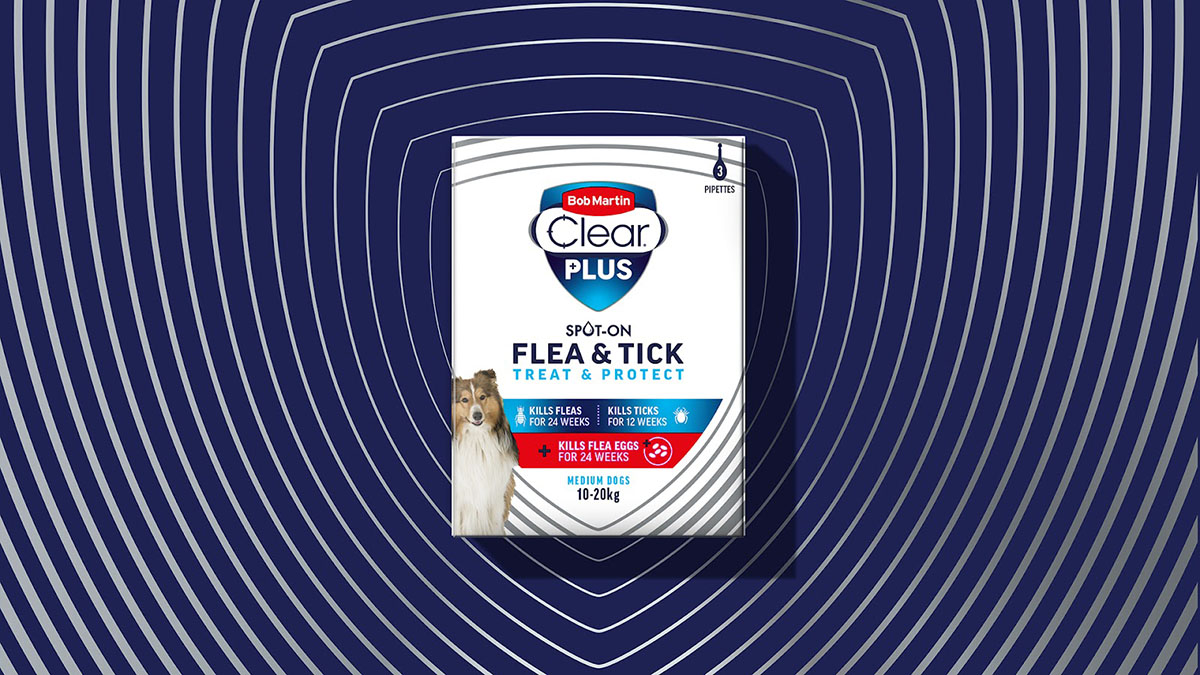 狗糧包裝設(shè)計(jì),狗糧包裝設(shè)計(jì)公司 狗糧包裝設(shè)計(jì),狗糧包裝設(shè)計(jì)公司