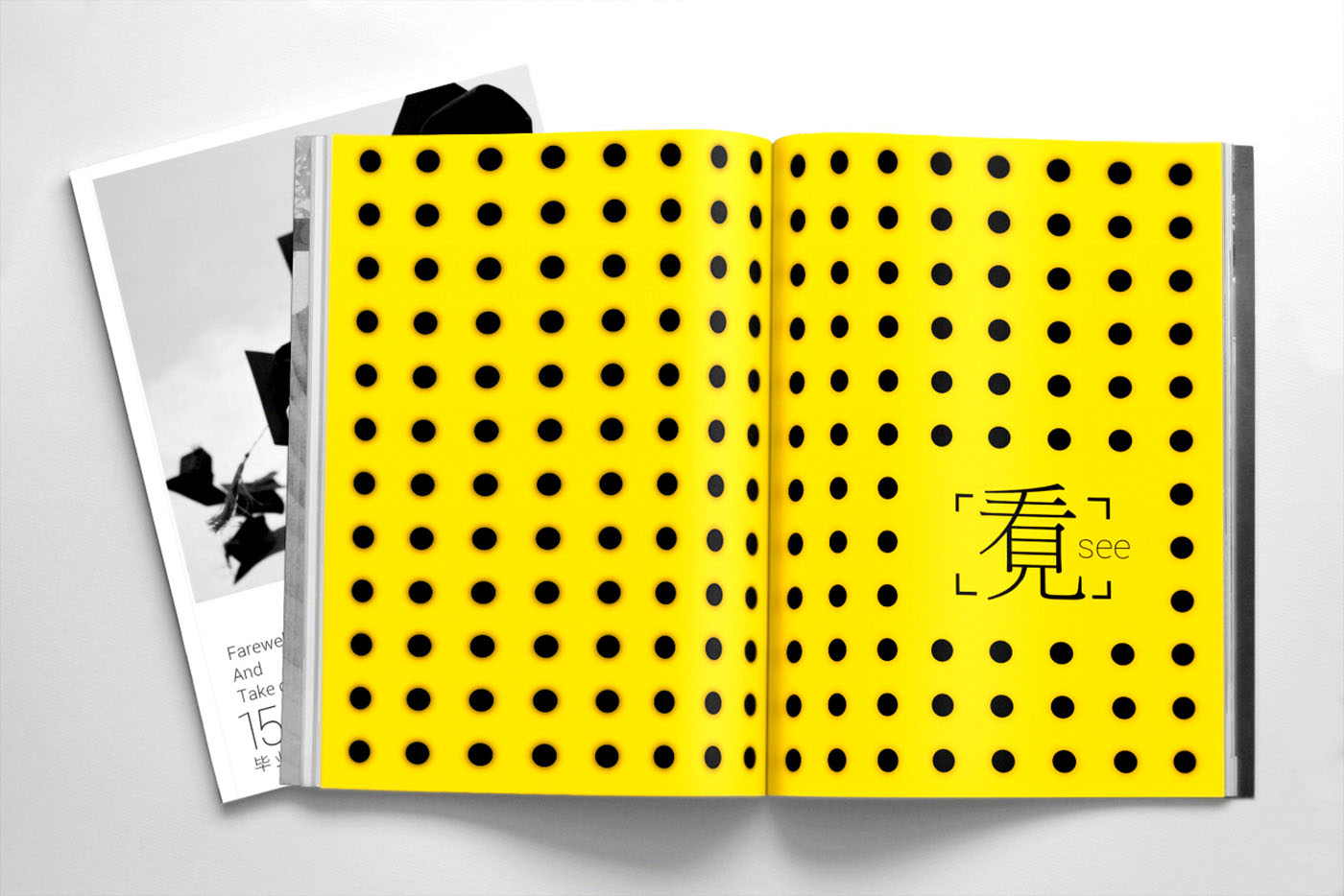 大學畢業(yè)紀念冊設計，畢業(yè)紀念冊設計公司