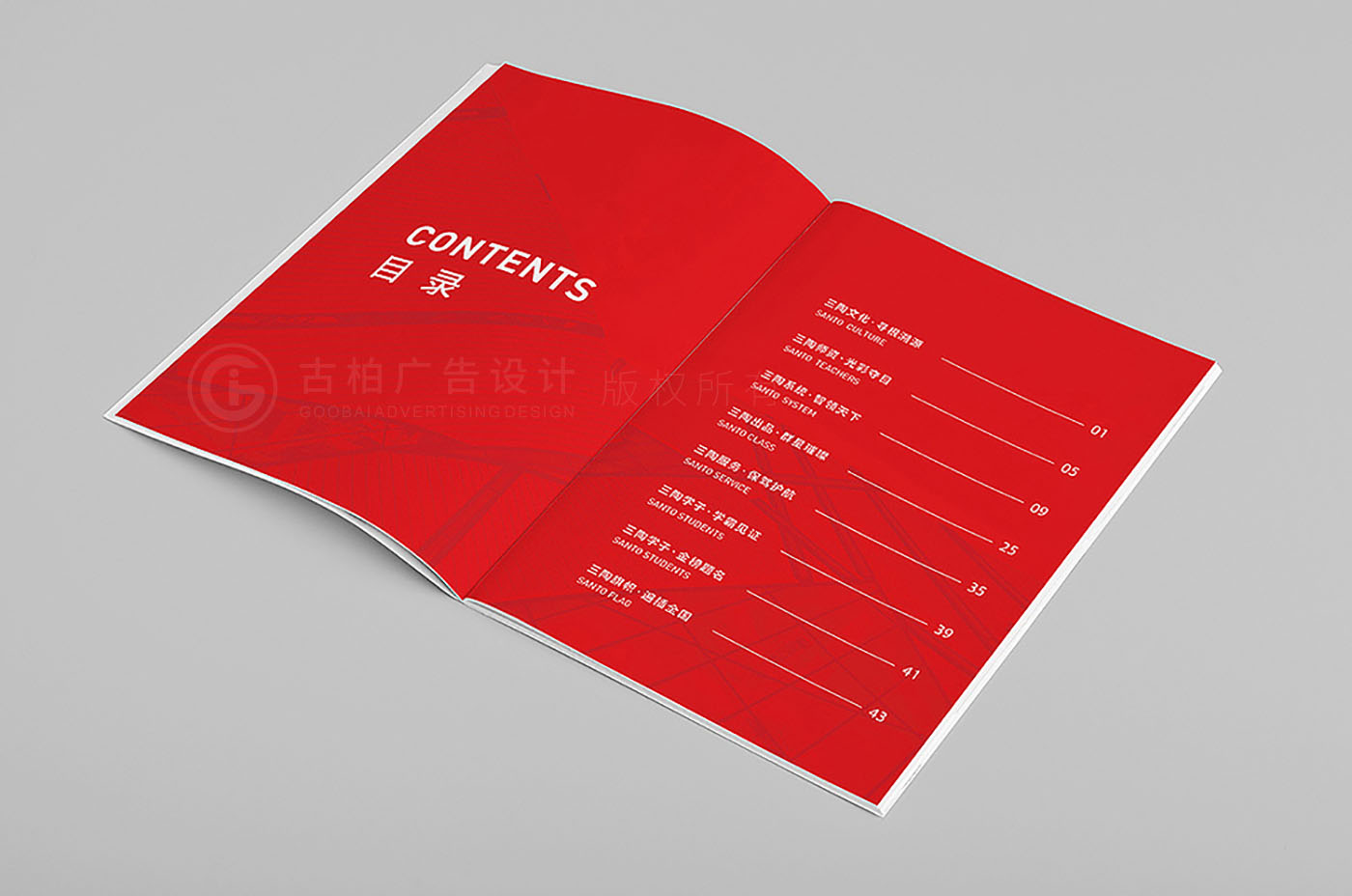 企業(yè)項(xiàng)目畫冊設(shè)計(jì),企業(yè)項(xiàng)目畫冊設(shè)計(jì)公司