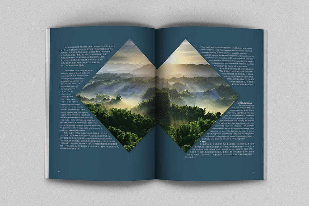 創(chuàng)意畫冊內頁設計,創(chuàng)意畫冊內頁設計案例欣賞 創(chuàng)意畫冊內頁設計,創(chuàng)意畫冊內頁設計案例欣賞