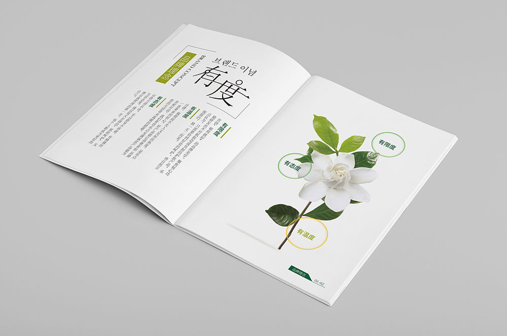 美妝畫(huà)冊(cè)設(shè)計(jì)