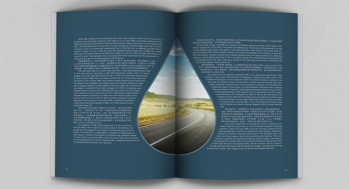 國(guó)外風(fēng)創(chuàng)意畫冊(cè)內(nèi)頁(yè)設(shè)計(jì)案例欣賞