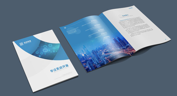 系統(tǒng)開發(fā)畫冊(cè)設(shè)計(jì)-科技感畫冊(cè)設(shè)計(jì)-科技藍(lán)的宣傳畫冊(cè)設(shè)計(jì)公司