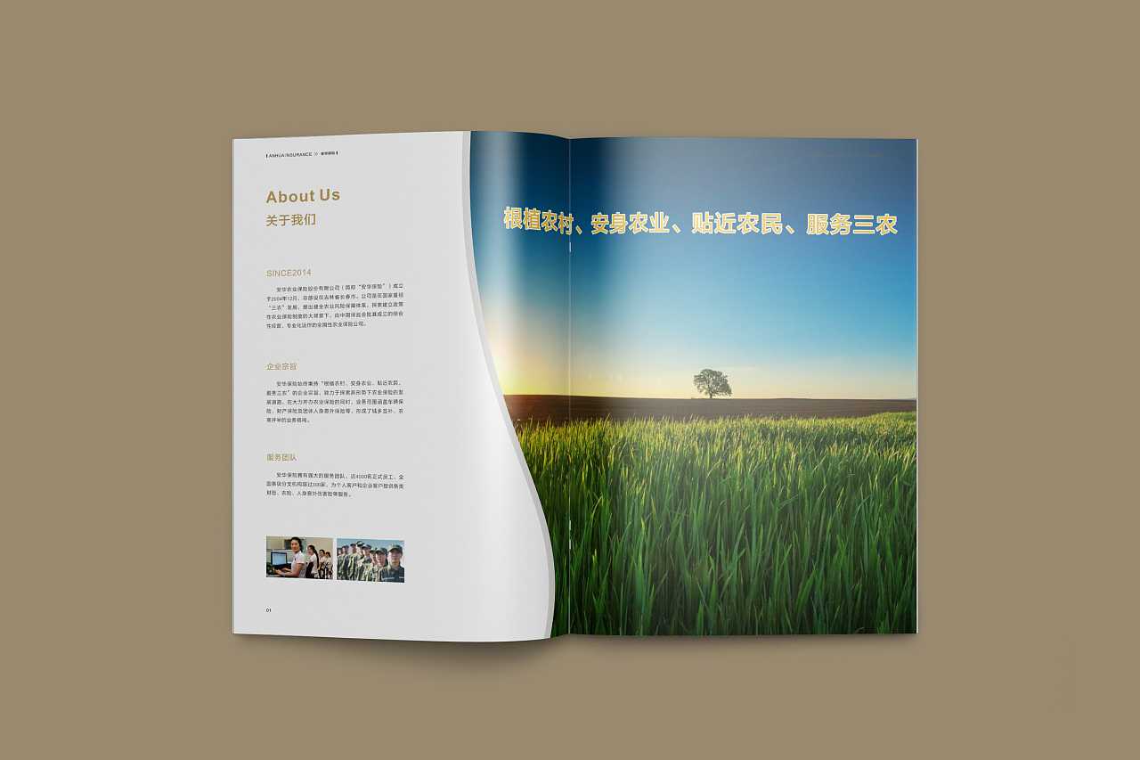 成都企業(yè)為什么要選擇高端宣傳冊設(shè)計(jì)公司呢？