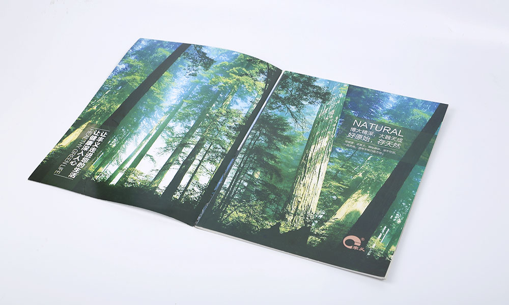 學(xué)會(huì)宣傳冊(cè)什么多大合適？